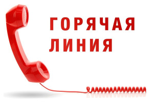 "ГОРЯЧАЯ ЛИНИЯ" по платным услугам "ГОРЯЧАЯ ЛИНИЯ" по платным услугам.